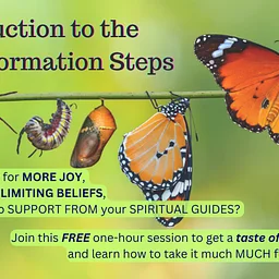 Intro to the Transformation Steps *FREE*