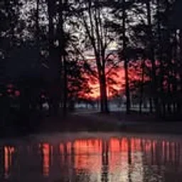 Moonlight Acres