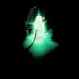 The Fly
