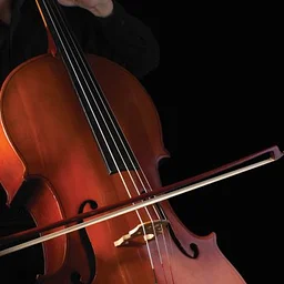 Young Artist Recital