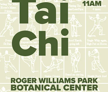 Sun Style Tai Chi for Beginners