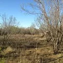 Land Heritage Institute