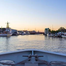 City Tour—Moon Over Miami River Cruise