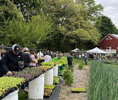 Annual Seedling Sale 2026