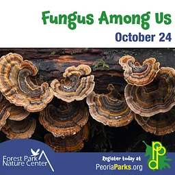 The Fungus Among Us