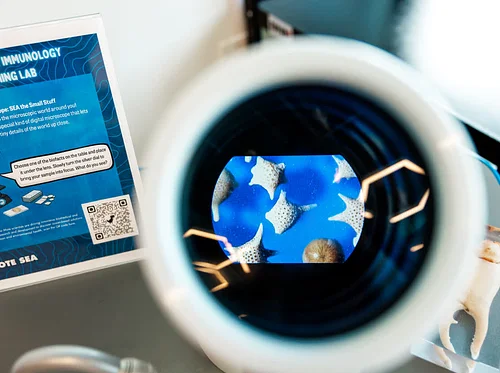 Mote SEA Drop-In Science