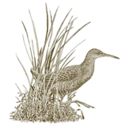 Marin Audubon Society