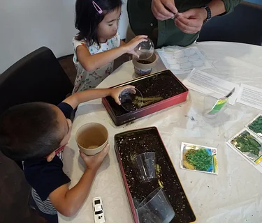 MOCACREATE: Embrace Earth Day with Teaching Artist Yu Rong