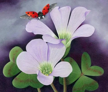 BAA 3-Day Intro to Colored Pencil Workshop with Artist Shelia Hendrix