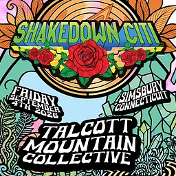Shakedown Citi
