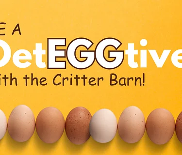 Be a DetEGGtive with Critter Barn