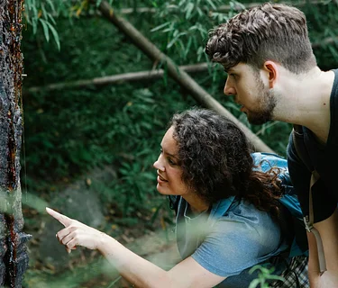 Advanced Tree ID Trek