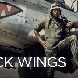 SAAACAM November Film Club “Black Wings”