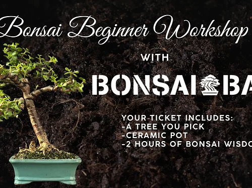 Beginner Bonsai Workshop with Bonsai Bar