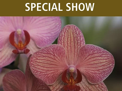 Central Iowa Orchid Society’s Spring Show & Sale