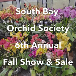 South Bay Orchid Society Fall Show & Sale