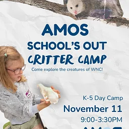 School’s Out Camp: Critter Camp