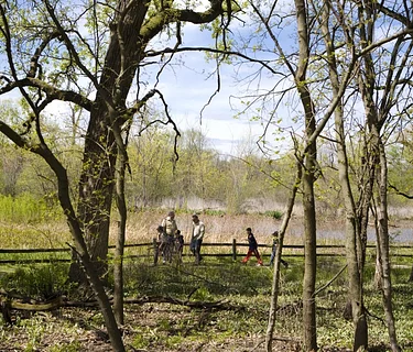 Junior Naturalist Walk