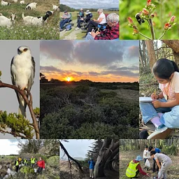 A Sunset Stroll at Wavecest Open Space