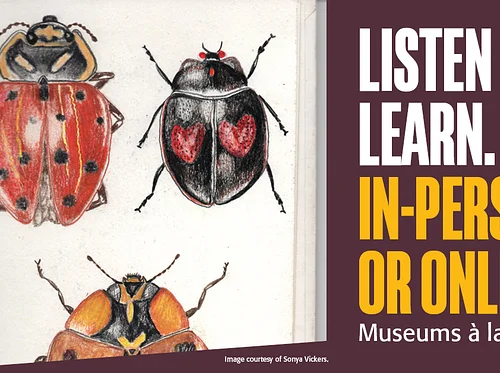 Learning about Nature through Drawing