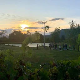 Sunset Yoga