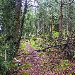 Getting Ready for Winter Walk – Newport State Park
