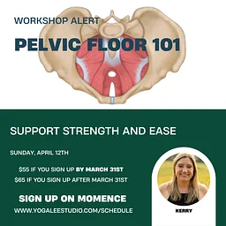 Pelvic Floor 101