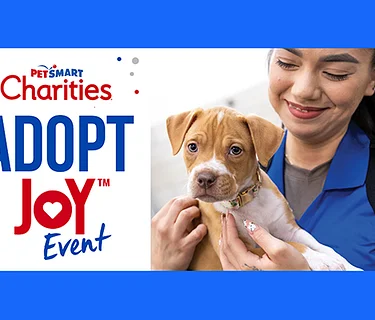PetSmart Adopt Joy Event – North Tampa