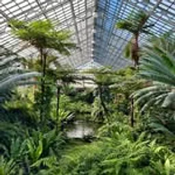Garfield Park Conservatory