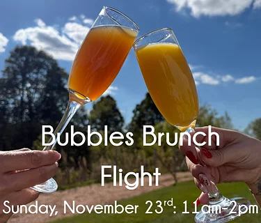 Bubbles Brunch Flight