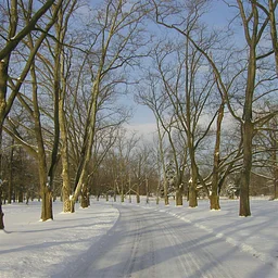 Winter Solstice Walk