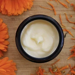 Herb Workshop: Calendula and Mint