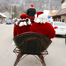 Annual Christmas in Peterson