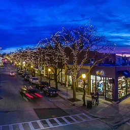 Glen Ellyn Home Holiday Lights Contest