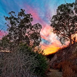 10,000 Steps Hikes