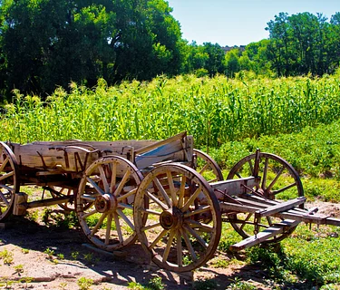 All About Agriculture (June 18)