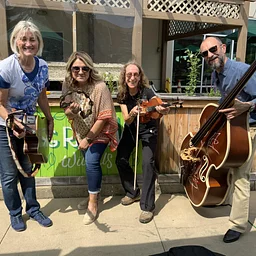 Acoustic Chicks Band