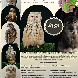 Sip. Swirl. Soar. -LIVE Falconry Experience