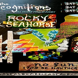 Rocky Seahorse • The Recognitions