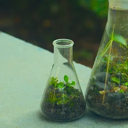 European Sample Preparation Conference & Green and Sustainable Analytical Chemistry