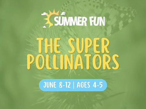 The Super Pollinators