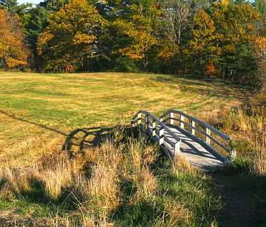Explore the Nocturnal World of Fuller Farm
