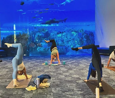 Mote SEA Morning Yoga