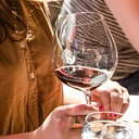 WINE CLUB RELEASE PARTY - Fall 2026