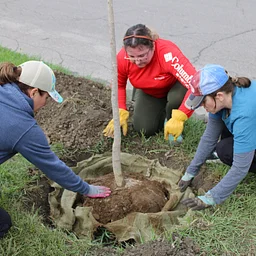 Detroit Community Tree Planting