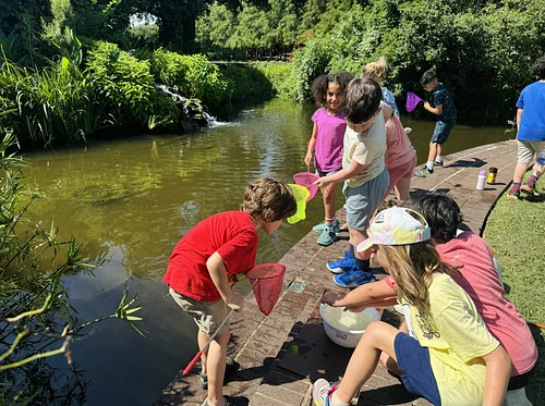 Bug Squad Adventures: Summer Camp, Ages 7-9