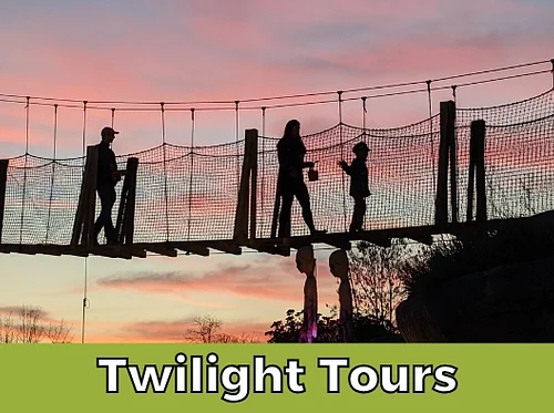 Twilight Tours on the Canopy Tour