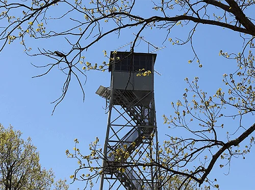 Guided Fire Tower Tour & Hike