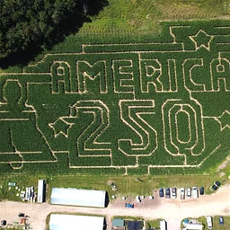 Get lost in our corn maze!