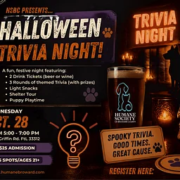 Halloween Trivia Night